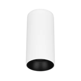Фото #1 товара Светильник SP-SALT-R75-15W Day4000 (WH-BK, 40 deg, 230V) (Arlight, IP54 Металл, 5 лет)