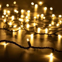 Фото #1 товара Светодиодная гирлянда ARD-STRING-PRO-10000-GREEN-100LED-STD WARM (230V, 7W) (Ardecoled, IP65, 2 года)