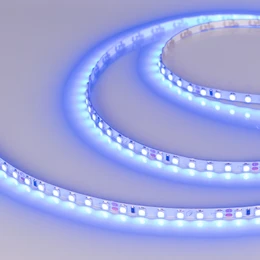 Фото #1 товара Светодиодная лента RT-A120-5mm 24V Blue (9.6 W/m, IP20, 2835, 5m) (Arlight, 9.6 Вт/м, IP20)