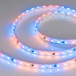 Фото #1 товара Светодиодная лента герметичная SPI-PFS-B60-12mm 12V RGB-PX3 (14.4W/m, IP68, 5060, 5m) (Arlight, бегущий огонь)