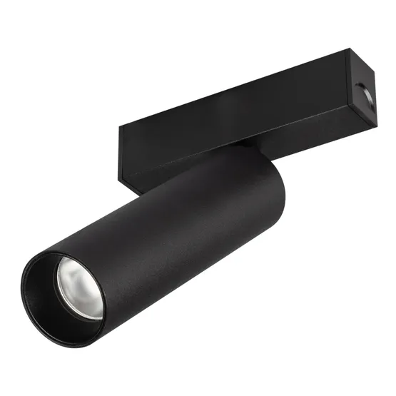 Фото #1 товара Светильник MAG-SPOT-25-R120-12W Warm3000 (BK, 30 deg, 24V) (Arlight, IP20 Металл, 5 лет)