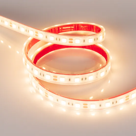 Фото #4 товара Светодиодная лента RTW 2-5000PGS 12V Warm 2x (5060, 300 LED, LUX) (Arlight, 14.4 Вт/м, IP67)