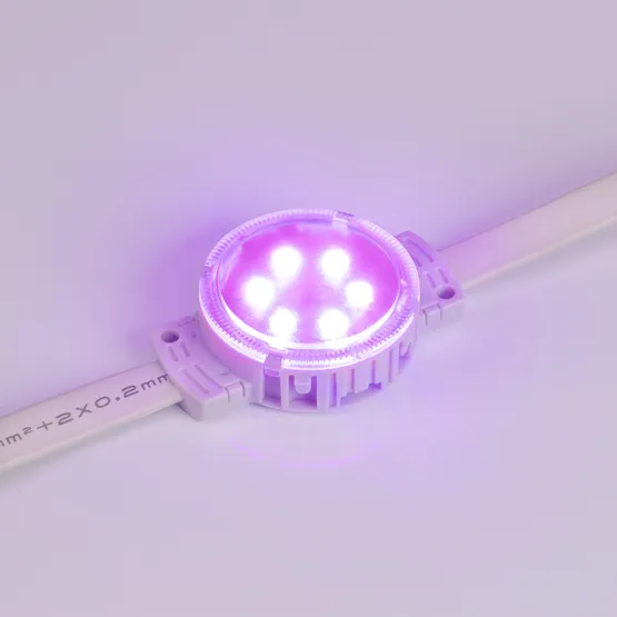 Фото #2 товара Модуль управляемый SPI-F6-D40 24V RGB-RAM-Auto (1.25W, IP68, 120 deg) (Arlight, Пластик, 3 года)
