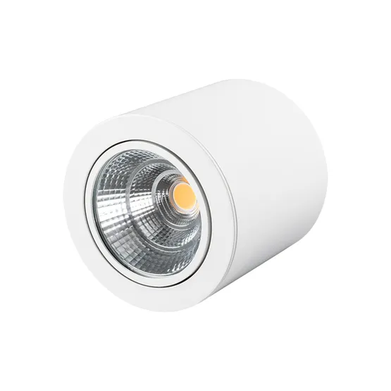 Фото #2 товара Светильник SP-FOCUS-R140-30W Day White (Arlight, IP20 Металл, 3 года)
