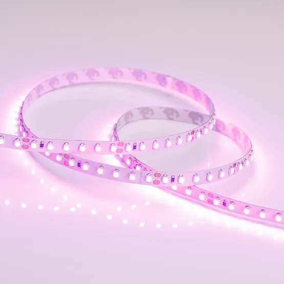 Фото #2 товара Светодиодная лента RT 2-5000 24V Pink 2x (3528, 600 LED, LUX) (Arlight, 9.6 Вт/м, IP20)