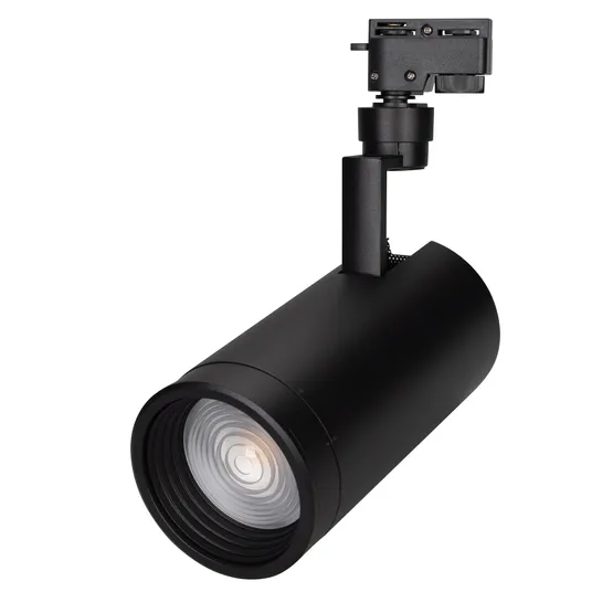 Фото #2 товара Светильник LGD-ZEUS-2TR-R100-30W Warm3000 (BK, 20-60 deg) (Arlight, IP20 Металл, 3 года)