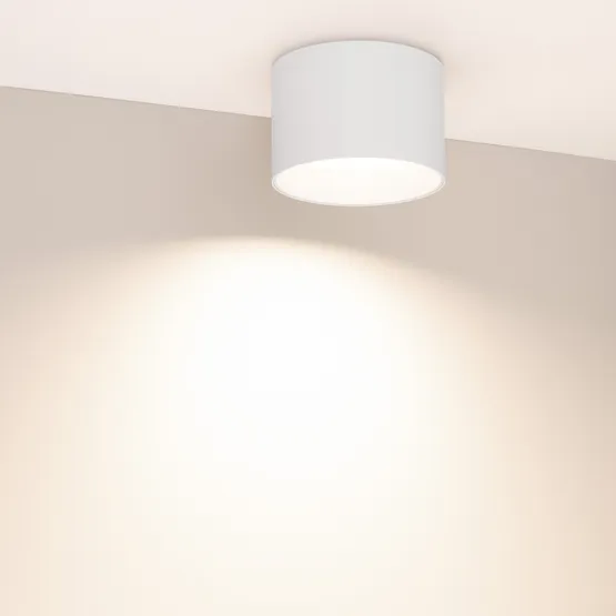Фото #5 товара Светильник SP-BISCOTTO-R120-12W Warm3300-MIX (WH, 80 deg, 230V) (Arlight, IP54 Металл, 5 лет)
