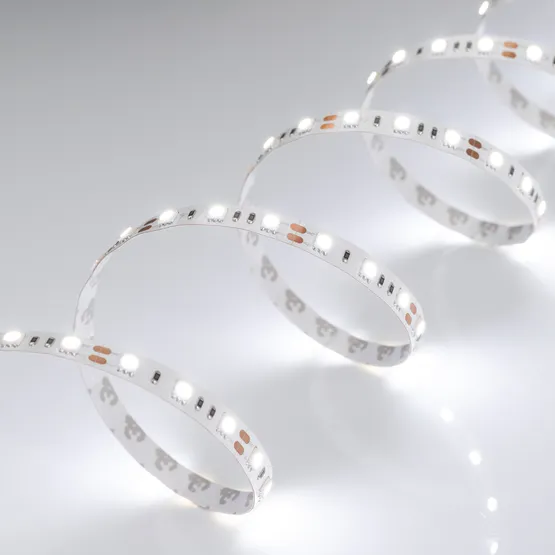 Фото #5 товара Светодиодная лента RT 2-5000 12V White6000 2x (5060, 300 LED, LUX) (Arlight, 14.4 Вт/м, IP20)