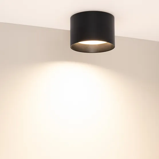 Фото #4 товара Светильник SP-BISCOTTO-R120-12W Warm3300-MIX (BK, 80 deg, 230V) (Arlight, IP54 Металл, 5 лет)