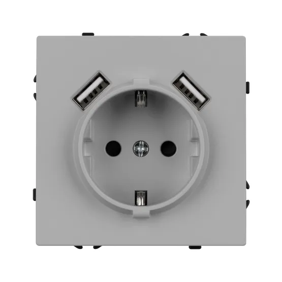 Фото #2 товара Механизм розетки с USB зарядкой SCT-NOBE-MUAA-SFPL-IS (230V, 16A)  (Arlight, Никель)