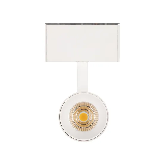 Фото #4 товара Светильник MAG-SPOT-45-R85-12W Day4000 (WH, 36 deg, 24V) (Arlight, IP20 Металл, 5 лет)