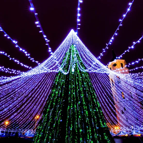 Фото #5 товара Светодиодная гирлянда ARD-STRING-CLASSIC-10000-BLACK-100LED-STD BLUE (230V, 7W) (Ardecoled, IP65, 1 год)