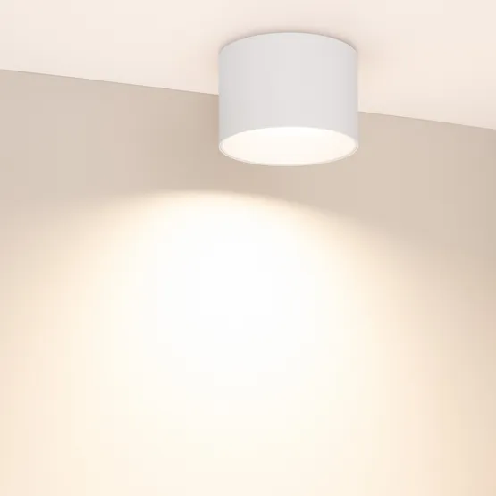 Фото #4 товара Светильник SP-BISCOTTO-R120-12W Warm3300-MIX (WH, 80 deg, 230V) (Arlight, IP54 Металл, 5 лет)