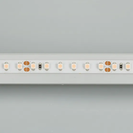 Фото #2 товара Светодиодная лента RT 2-5000 24V Cool 8K 2x (3528, 600 LED, LUX) (Arlight, 9.6 Вт/м, IP20)