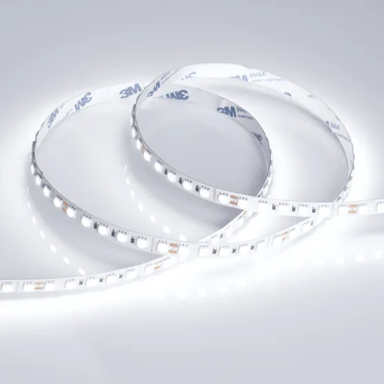 Фото #2 товара Светодиодная лента RT 6-5050-96 24V White6000 3x (480 LED) (Arlight, 23 Вт/м, IP20)