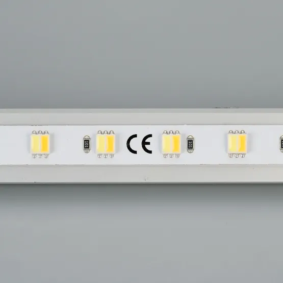 Фото #2 товара Светодиодная лента RT 6-5000 24V White-MIX-One 2x (5060, 60 LED/m, LUX) (Arlight, Изменяемая ЦТ)