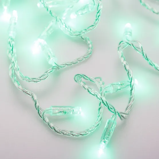 Фото #2 товара Светодиодная гирлянда ARD-STRING-CLASSIC-10000-CLEAR-100LED-STD GREEN (230V, 7W) (Ardecoled, IP65)