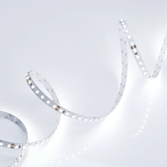 Фото #4 товара Светодиодная лента RT 2-5000 24V Cool 8K 2x (3528, 600 LED, LUX) (Arlight, 9.6 Вт/м, IP20)