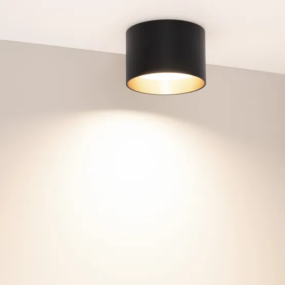 Фото #5 товара Светильник SP-BISCOTTO-R120-12W Warm3300-MIX (BK-GD, 80 deg, 230V) (Arlight, IP54 Металл, 5 лет)
