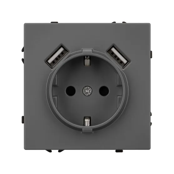 Фото #3 товара Механизм розетки с USB зарядкой SCT-NOBE-MUAA-SFPL-GR (230V, 16A) (Arlight, Серый базальт)