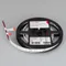 Минифото #4 товара Светодиодная лента RZ-A160-15mm 24V White6000 (19.2 W/m, IP20, 2835, 5m) (Arlight, -)