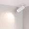 Минифото #4 товара Светильник LGD-ARTEMIS-BUILT-FLAP-R55-12W Warm3000 (WH, 8-80 deg, 230V) (Arlight, IP20 Металл, 5 лет)