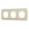 Минифото #1 товара Рамка стеклянная FRM-OMALI-SFGS-3-GD (Arlight, -)
