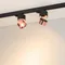 Минифото #2 товара Светильник SP-PLURIO-TRACK-4TR-R77-9W Warm3000 (BK-COP, 36 deg, 230V) (Arlight, IP20 Металл, 3 года)