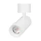 Минифото #1 товара Светильник SP-ARTEMIS-SURFACE-FLAP-R55-12W Warm3000 (WH, 8-80 deg, 230V) (Arlight, IP20 Металл, 5 лет)