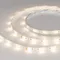 Минифото #2 товара Светодиодная лента RTW-SE-B60-10mm 24V RGBW-Day (14.4 W/m, IP65, 5060, 5m) (Arlight, Открытый)