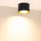 Минифото #2 товара Светильник SP-BISCOTTO-R120-12W Warm3300-MIX (BK-GD, 80 deg, 230V) (Arlight, IP54 Металл, 5 лет)