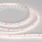 Минифото #3 товара Светодиодная лента MICROLED-5000 24V White-CDW 8mm (2216, 240 LED/m, Bipolar) (Arlight, 9.6 Вт/м, IP20)