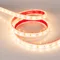 Минифото #4 товара Светодиодная лента RTW 2-5000PGS 12V Warm 2x (5060, 300 LED, LUX) (Arlight, 14.4 Вт/м, IP67)