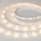 Минифото #3 товара Светодиодная лента RT 2-5000 12V Warm2700 (5060, 150 LED, LUX) (Arlight, 7.2 Вт/м, IP20)