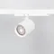 Минифото #2 товара Сетчатый фильтр с посадочным кольцом LGD-NIKA-HCR-R100 (WH-BK) (Arlight, Металл)
