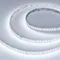 Минифото #7 товара Светодиодная лента RT-AM360-12mm 24V RGBW-MIX (24 W/m, IP20, 2835/2210, 5m) (Arlight, RGB-CCT, RGB-MIX, RGB-White MIX)