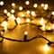 Минифото #1 товара Светодиодная гирлянда ARD-STRING-CLASSIC-10000-BLACK-100LED-MILK-STD Warm (230V, 7W) (Ardecoled, IP65, 1 год)