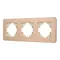 Минифото #1 товара Рамка алюминиевая FRM-AKIRY-AL-3-GD (Arlight, -)