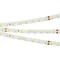 Минифото #1 товара Светодиодная лента RT 2-5000-50m 24V White5500 (2835, 80 LED/m, LUX) (Arlight, 6 Вт/м, IP20)