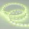 Минифото #3 товара Светодиодная лента MINI-60-24V RGB 5mm (3535, 5m, LUX) (Arlight, 6 Вт/м, IP20)
