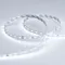 Минифото #4 товара Светодиодная лента RT 2-5000-50m 24V White5500 (2835, 80 LED/m, LUX) (Arlight, 6 Вт/м, IP20)