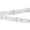 Минифото #1 товара Светодиодная лента RT 2-5000 24V Red 2x2 (3528, 1200 LED, LUX) (Arlight, 19.2 Вт/м, IP20)