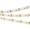 Минифото #2 товара Светодиодная лента герметичная RTW-SE-A120-8mm 12V White6000 (9.6 W/m, IP65, 2835, 5m) (Arlight, -)