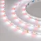 Минифото #3 товара Светодиодная лента RT-B60-10mm 24V RGBW-White (14.4 W/m, IP20, 5060, 5m) (Arlight, Открытый)