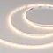 Минифото #2 товара Светодиодная лента MICROLED-M266-4mm 24V Warm2700 (12 W/m, IP20, 2216, 5m) (Arlight, узкая)