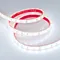 Минифото #3 товара Светодиодная лента герметичная RTW-PFS-B60-13mm 24V Cool 10K (14.4 W/m, IP68, 5060, 5m) (Arlight, 14.4 Вт/м, IP68)