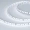 Минифото #3 товара Светодиодная лента MICROLED-5000L 24V White6000 8mm (2216, 120 LED/m, LUX) (Arlight, 6.5 Вт/м, IP20)