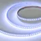 Минифото #5 товара Светодиодная лента RT-H120-10mm 24V RGBW-Warm-4-in-1 (25 W/m, IP20, 4040, 5m) (Arlight, Открытый)