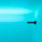 Минифото #11 товара Лента-трос STINGRAY-RT-B30-10mm 24V RGB (7.2 W/m, IP20, 5060, 5m) (Arlight, -)