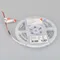 Минифото #2 товара Светодиодная лента NT-A60-8mm 24V Day4000 (4.8 W/m, IP20, 3528, 5m) (Arlight, Открытый)